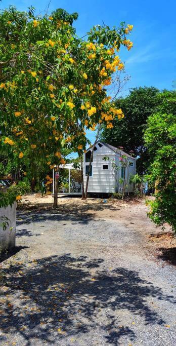 Feriehus Brand New Beachfront Tiny Oniro *