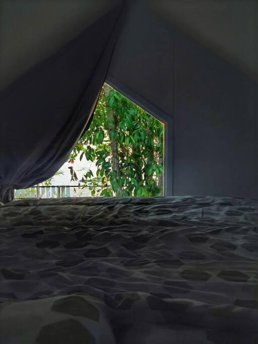Brand New Beachfront Tiny Oniro Feriehus *